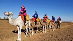 camels Laurie and Scott riding camels for the first time, in Morocco