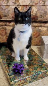 Minnie Mouse, 10 years old.