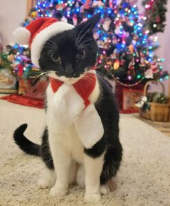 20241225_203449 Minnie Mouse, 11 years old